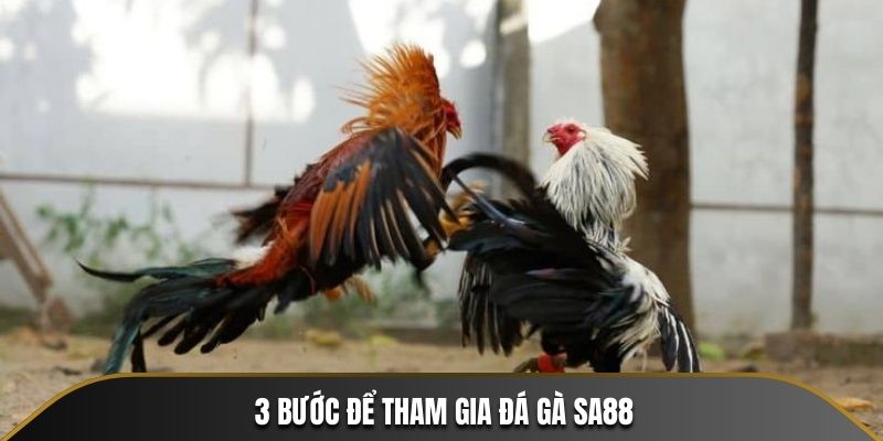 3 bước để tham gia đá gà SA88