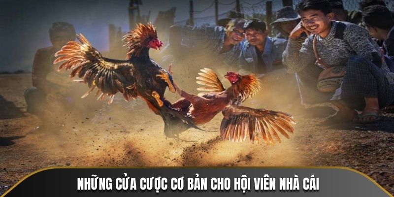 Những cửa cược cơ bản cho hội viên nhà cái