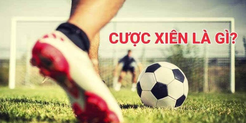 Luật chơi cược hỗn hợp đơn giản với người chơi mới